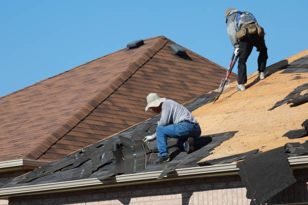 Best Roof Moss and Algae Removal  in Carthage, NC