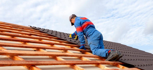 Best Roof Ventilation Installation  in Carthage, NC